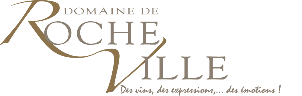 logo Rocheville